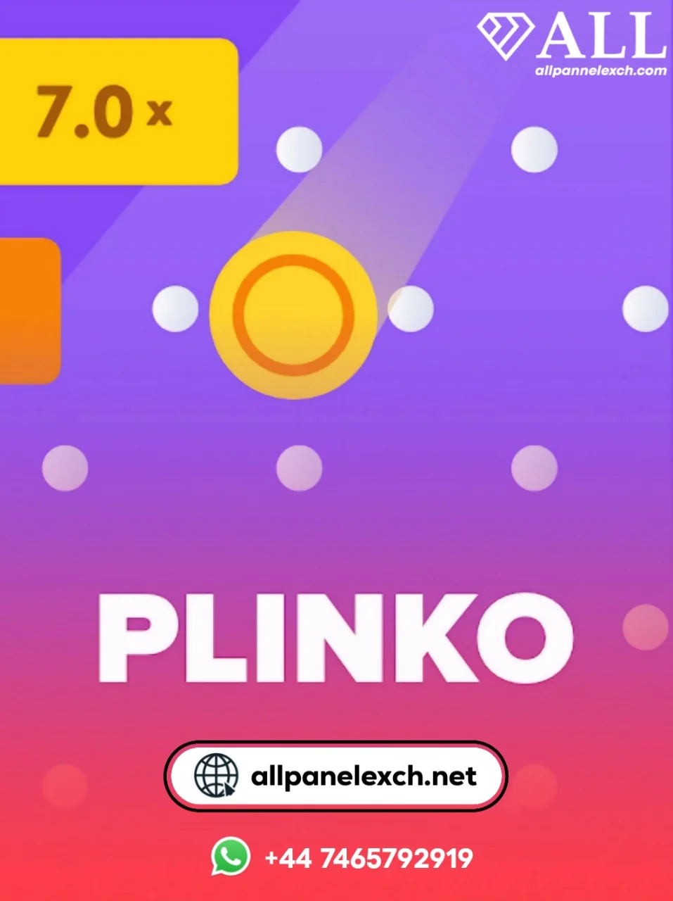 allpanelexch plinko